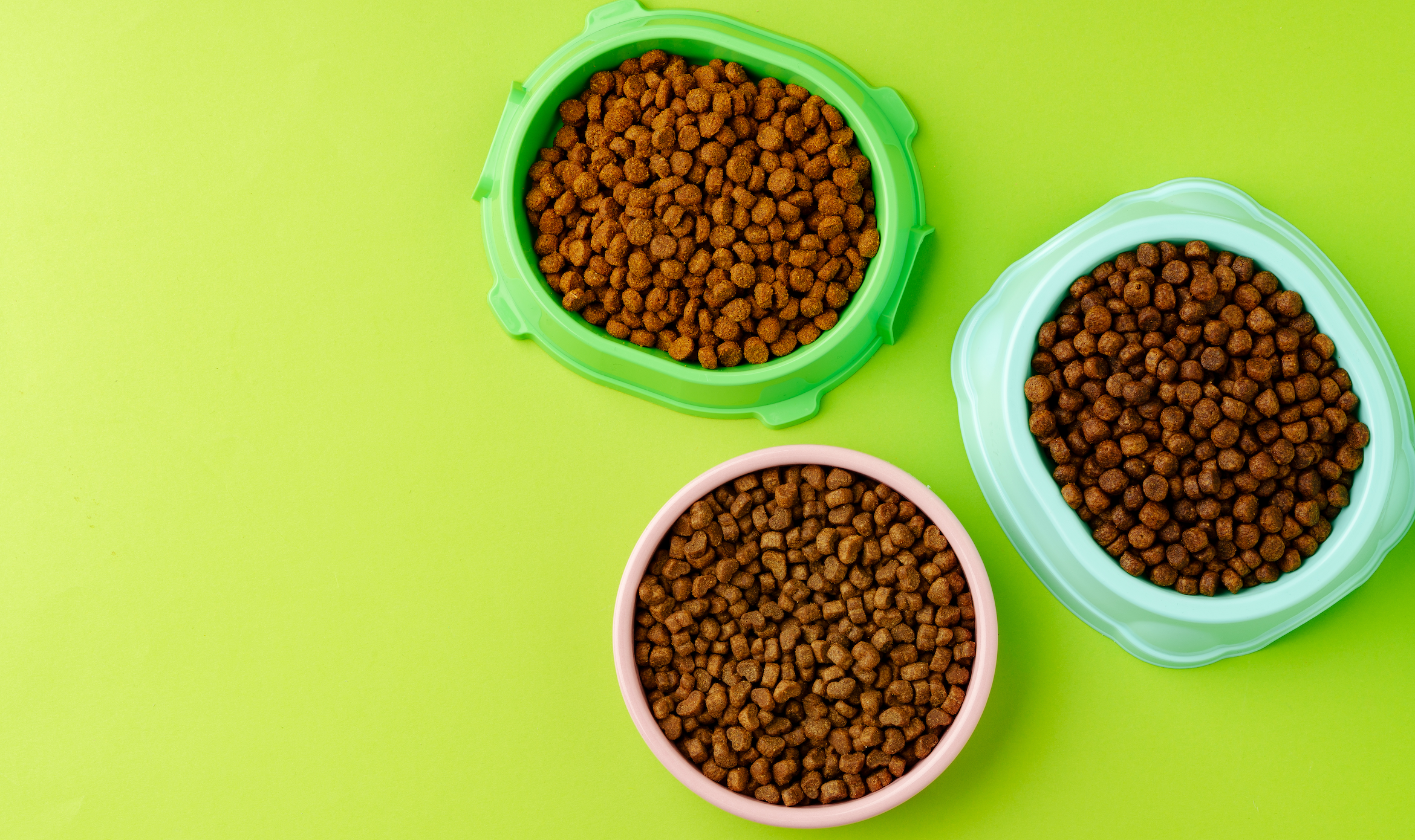 Das richtige Katzenfutter für Ihre Katze: Ein Leitfaden