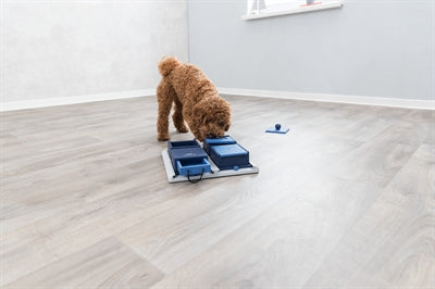 Trixie Hund Aktivität Poker Box 1