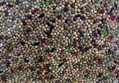 De Vries Gefrorenes Sittichfutter