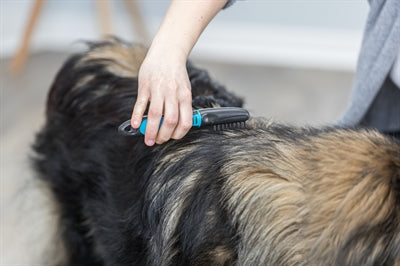 Trixie-Coat-Entfetter Gebogene Zähne