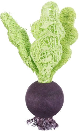 Trixie Rote Bete / Erdbeerholz / Luffa