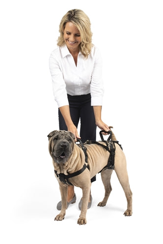 Solvit Petsafe Carelift Vorne Und Hinten