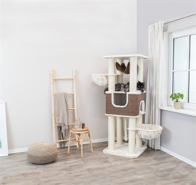 Trixie Xxl Humberto Creme / Dunkelbraun