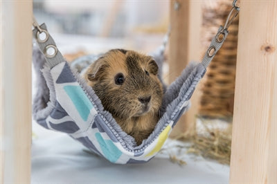 Trixie Mit Hängematte Sonnig Sortiert / Grau