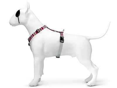 Morso Hundegeschirr H-Leine Recycelt Skyline Rot/Rosa