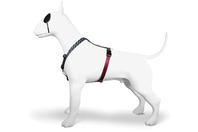 Morso Hundegeschirr H-Leine Recycelt Power Flow Schwarz