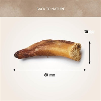 Antos Aufzählungspunkte