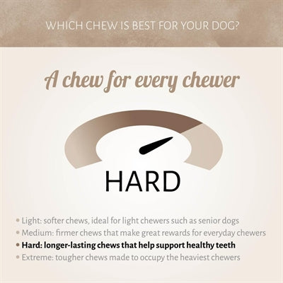 Antos Aufzählungspunkte