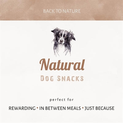 Antos Aufzählungspunkte