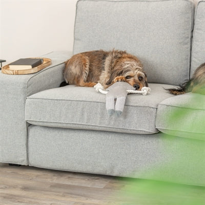 Trixie Waschbär Plüsch / Stoff