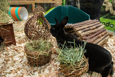Nature First Happy Cap Weidenheu-Heuhaufen