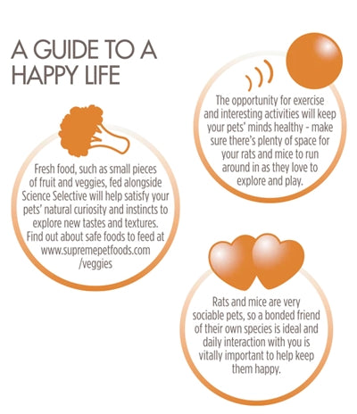 Supreme Höchste Wissenschaft Selektive Ratte/Maus