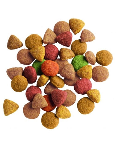 Lara Erwachsene Geflügel Pute / Huhn