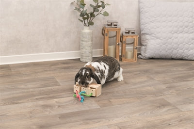 Trixie-Snack-Würfel Holz