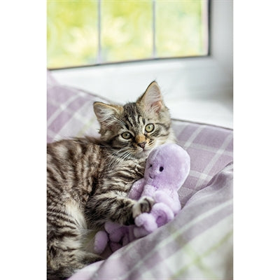 Jolly Moggy Unter Dem Meer Oktopus