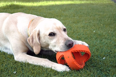 Happy Pet Interaktiver Fussball Orange