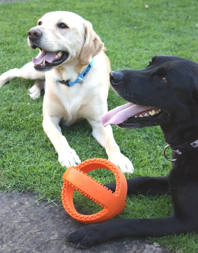 Happy Pet Interaktiver Fussball Orange