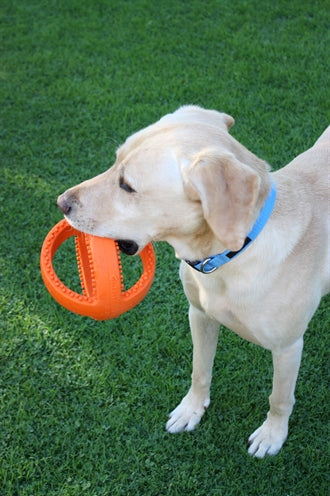 Happy Pet Interaktiver Fussball Orange